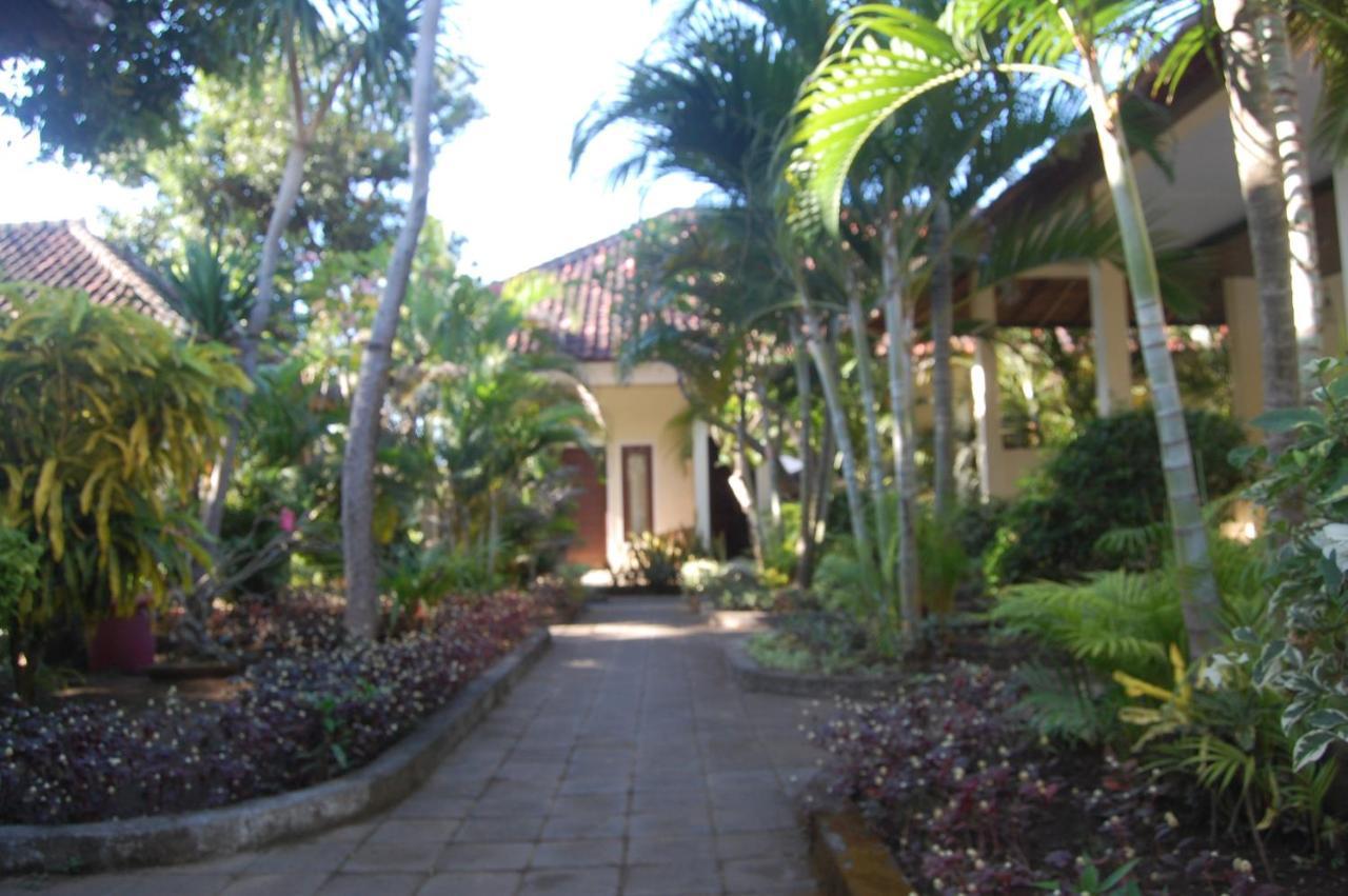 Star East Bungalows Amed Exteriör bild